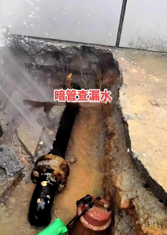 地下暗管漏水检测场景